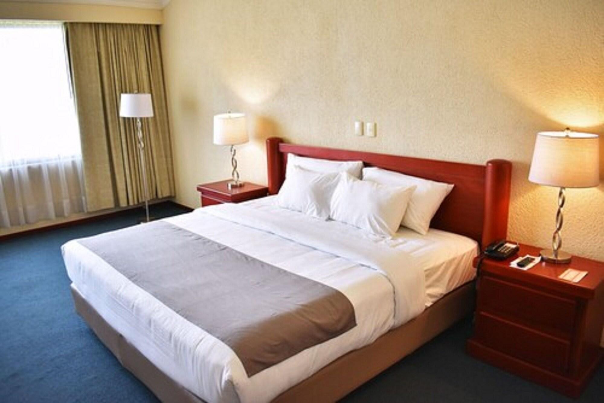 La Posada Hotel Y Suites San Luis Potosí Kültér fotó