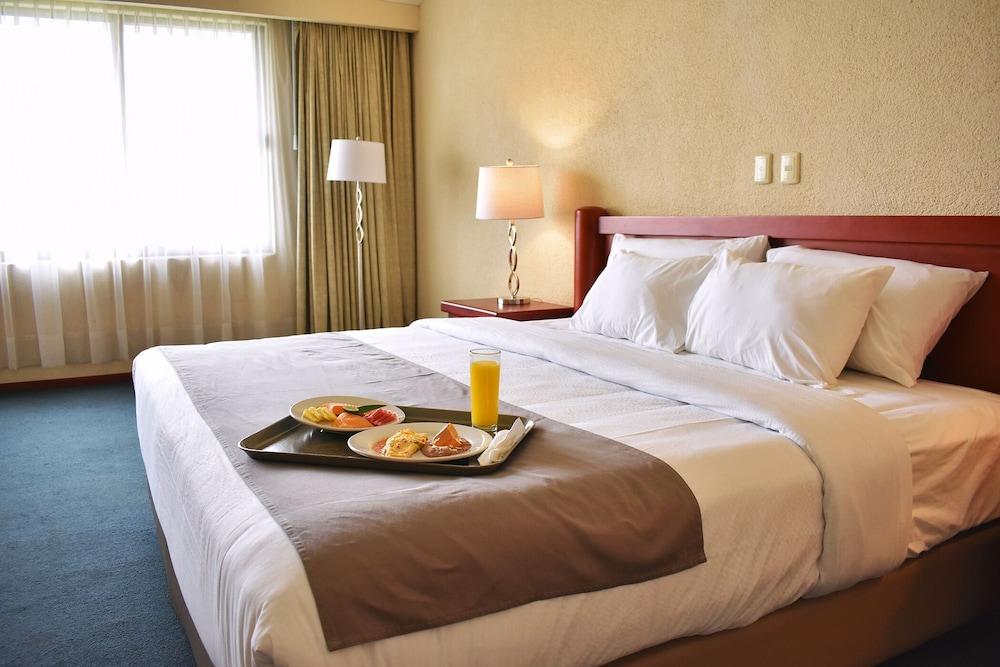 La Posada Hotel Y Suites San Luis Potosí Kültér fotó